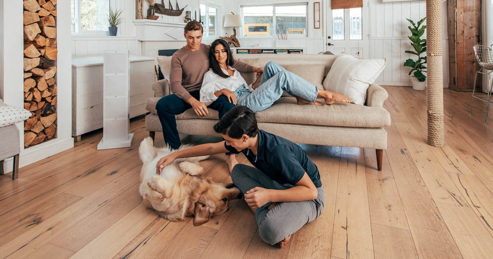 Air Purifier Maintenance 101