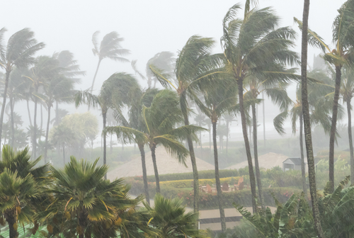 Cyclone Montha Flooding
