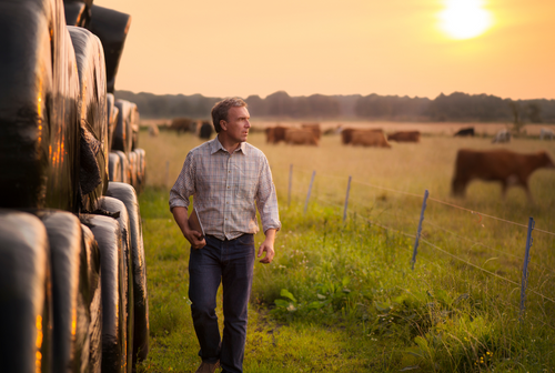 Agricultural Chemicals Are Poisoning the Air We Breathe