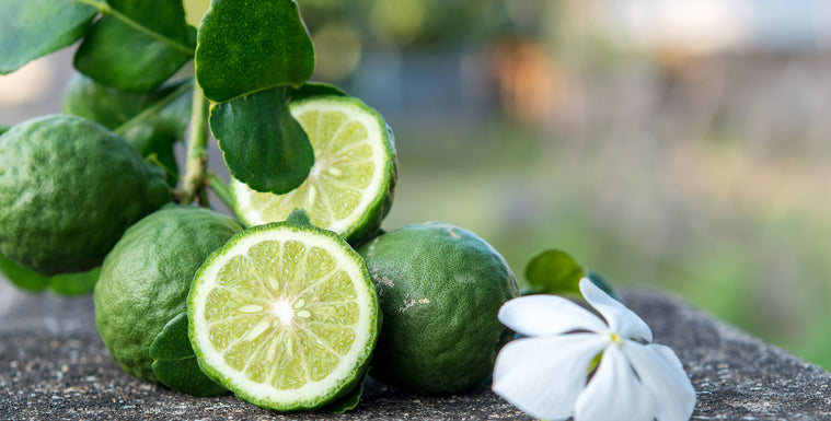 The Citrus Gem: Exploring the Wonders of Bergamot Essential Oil