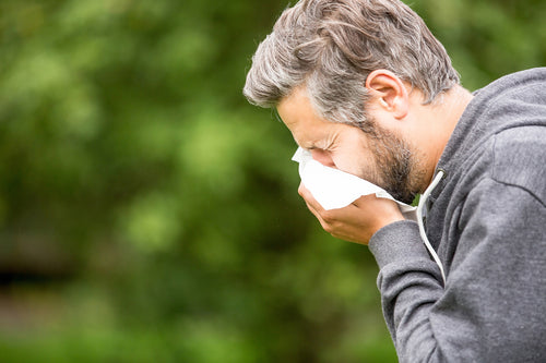 Breathe Easy All Season: Conquering Pollen with Air Purifiers