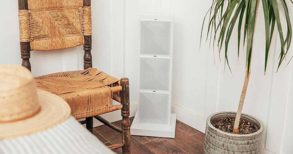 Medium iAdaptAir by Air Oasis in a dining room