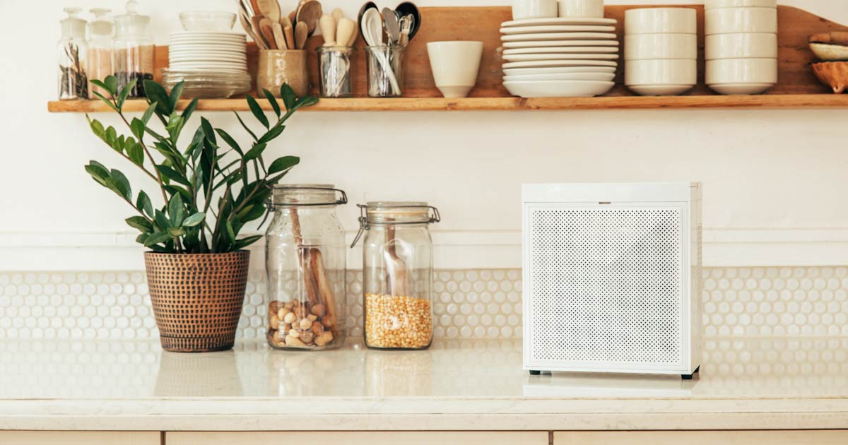 Best Air Purifiers for COVID19 Air Oasis