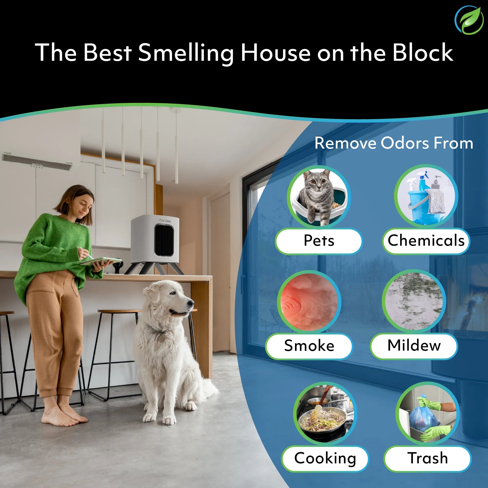 remove odors from pets, chemicals, smoke, mildew, cooking and trash