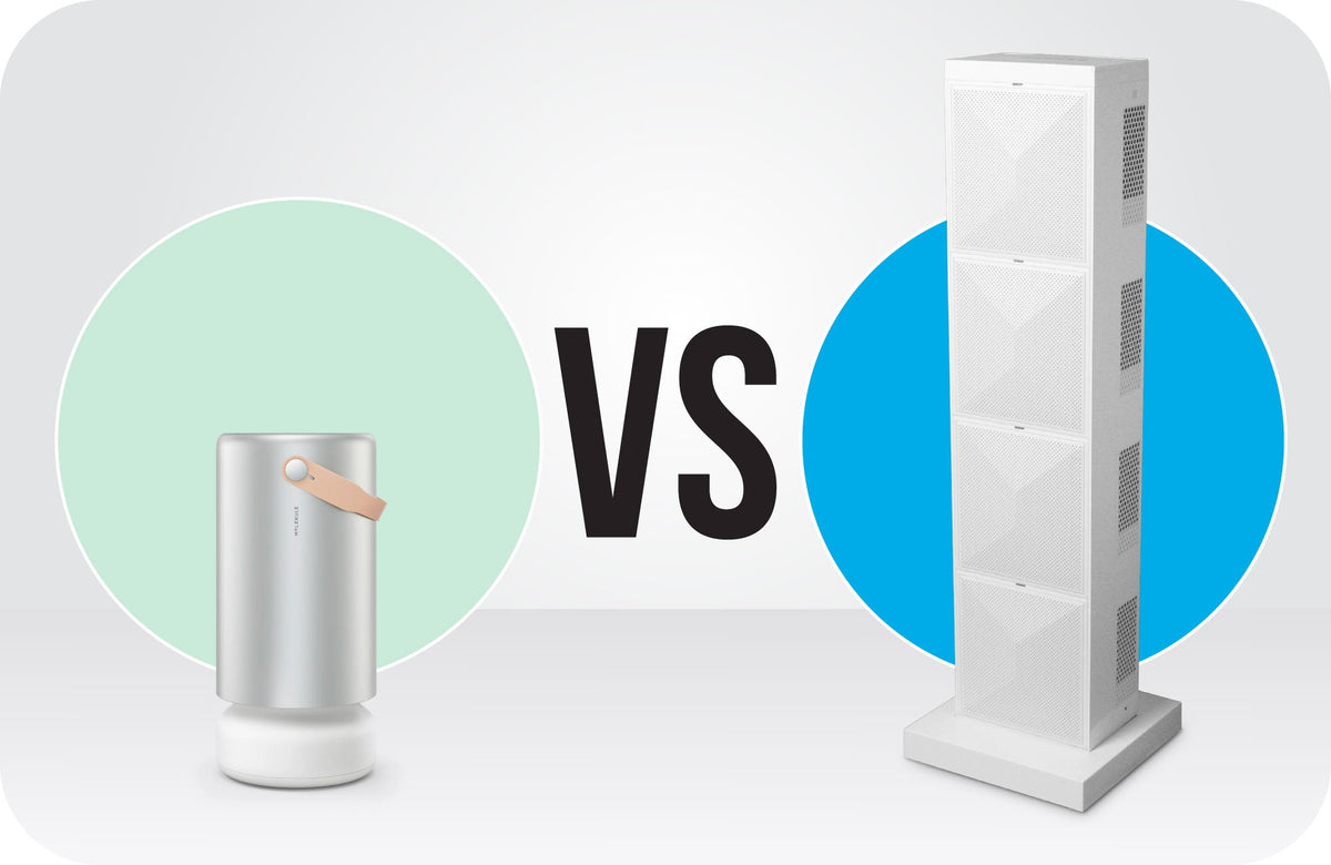 Air Oasis vs. Molekule
