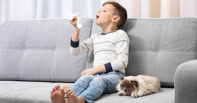 Little boy sitting on couch with his cat and sneezing
