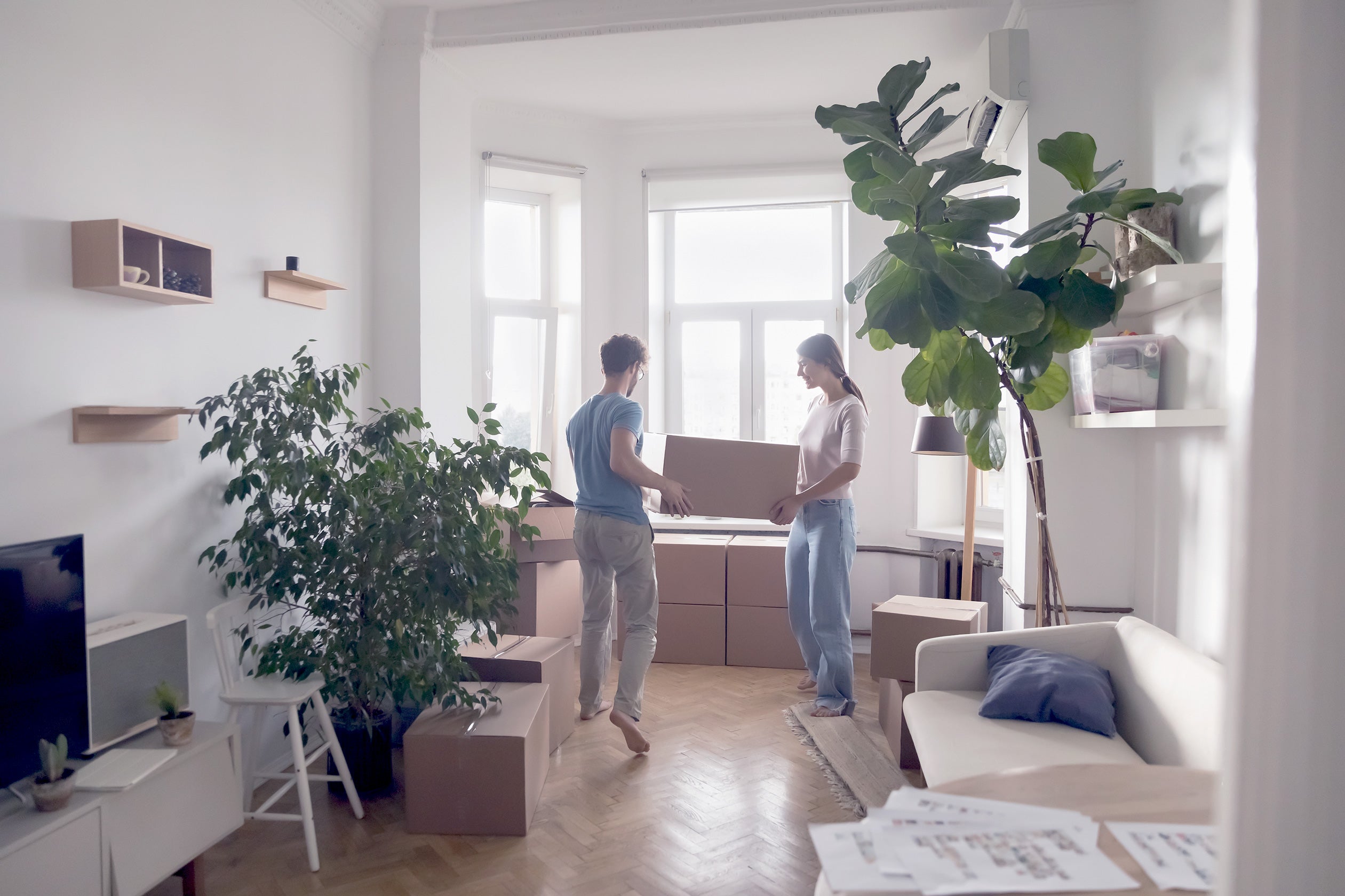 Bionaire air purifier placement in bedroom kitchen living room