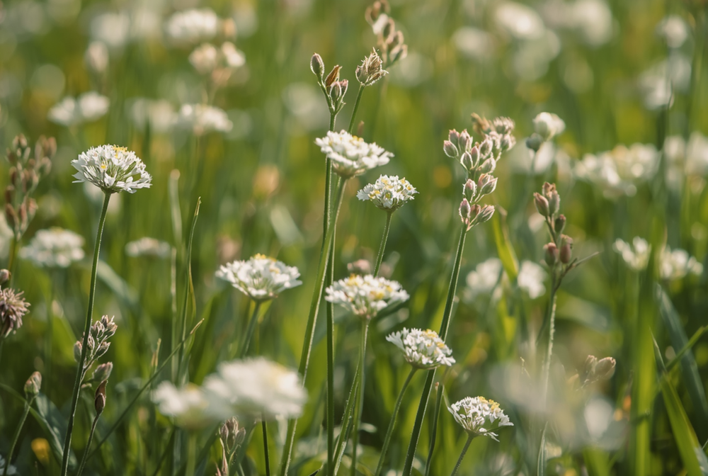 Spring thaw creates a perfect storm of moisture, warmth, and dormant spores that causes mold to spike every year. Here's why.
