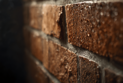 The smell after a leak doesn't always mean visible mold. Here's what it usually signals.
