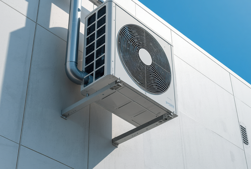 Before paying for mold remediation, check these first.