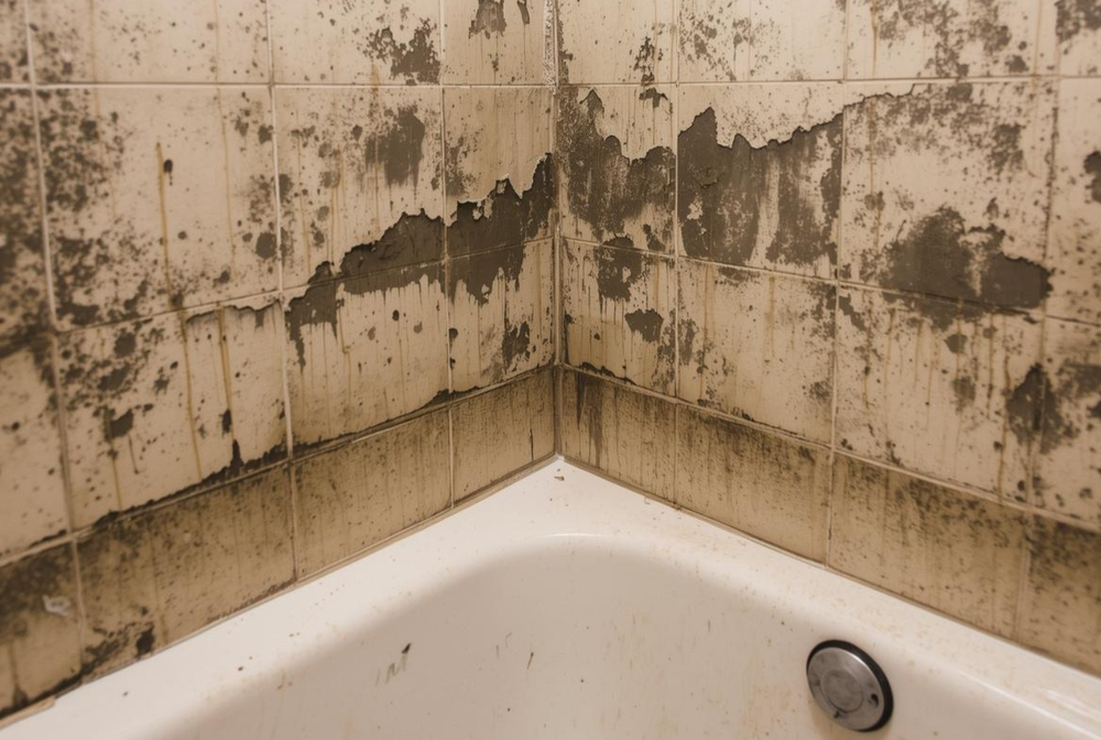 Air purifiers can eliminate mildew smell in bathrooms using HEPA filters, activated carbon, and UV-C technology.