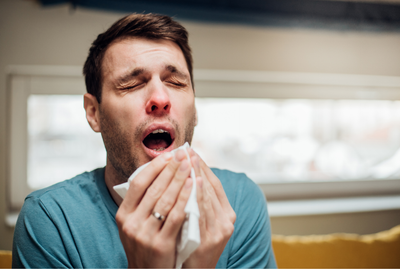Nasal Fungi and Allergies: New Research