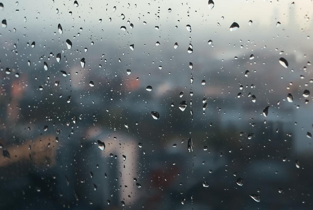 Window condensation mold is a real risk — learn how moisture buildup leads to mold growth and what you can do to protect your home's air quality.