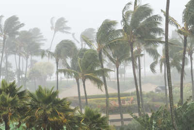 Cyclone Montha Flooding
