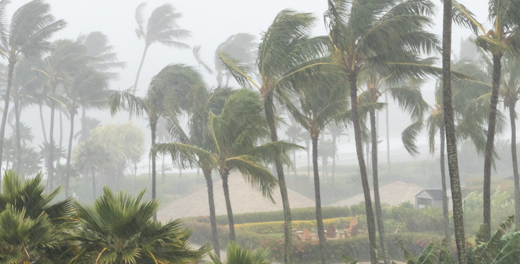 Cyclone Montha Flooding