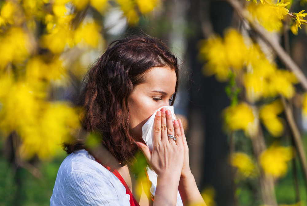 Understanding the 3 Types of Pollen Allergies | Air Oasis