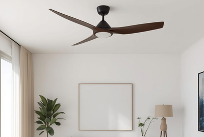 Ceiling fans can distribute mold spores throughout your home if mold is already present. Learn how this happens and what to do to protect your indoor air quality.