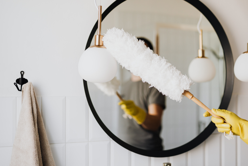 Dust Mites and Air Quality — Yep, They're Linked