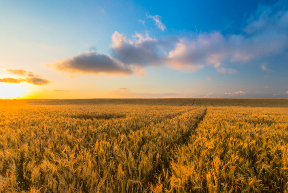 Regenerative Agriculture and Air Quality: Farming That Heals the Air We Breathe