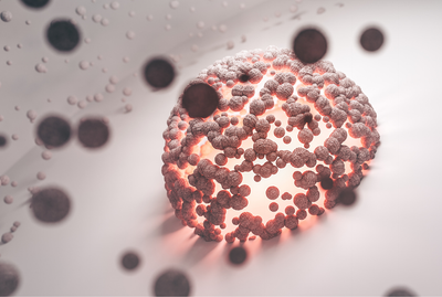 Air Pollution and Free Radicals: How Dirty Air Ages Your Body at the Cellular Level