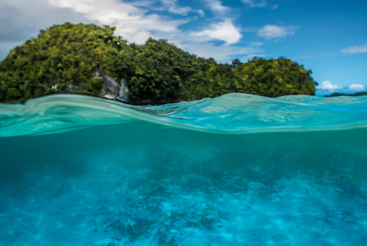 Pacific Island Air Quality: Hidden Health Risks in Paradise | Air Oasis