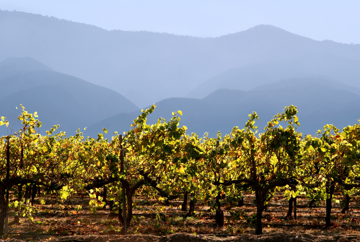 How California's Air Quality Rules Fail to Protect Farmworkers
