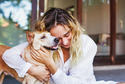 How to Keep Your Pets Safe During Air Quality Alerts