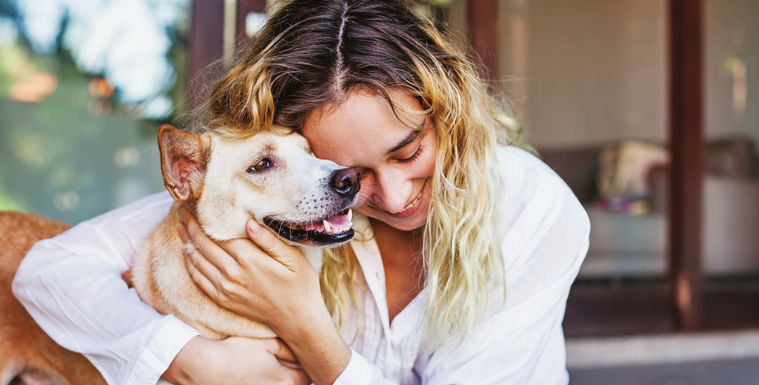 How to Keep Your Pets Safe During Air Quality Alerts