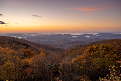 New Dashboard for NC Residents to Track Air Pollution