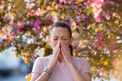 Tackling Allergic Rhinitis with Effective Air Purification