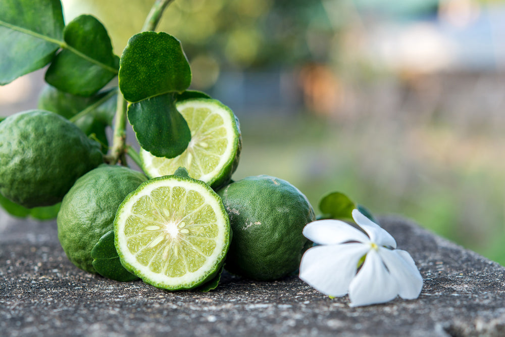 Bergamot Essential Oil