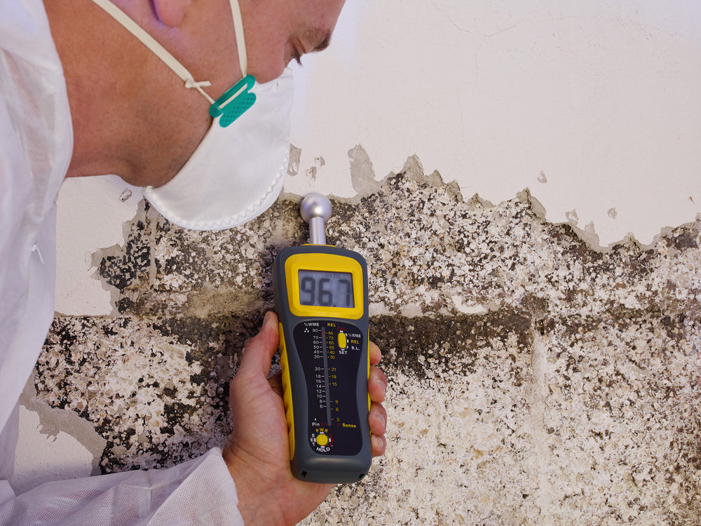 Essential Tips for Living with Mold Toxicity and CIRS