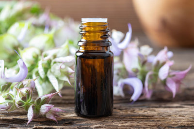 The Magic of Clary Sage Essential Oil: A Natural Elixir for Body and Mind