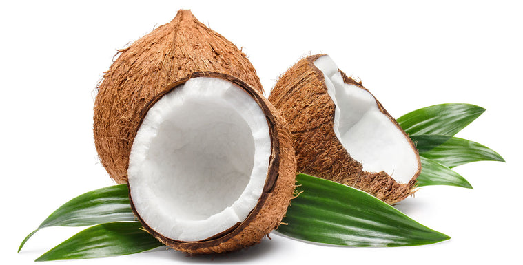The Nectar of the Tropics: Exploring the Wonders of Coconut Essential Oil