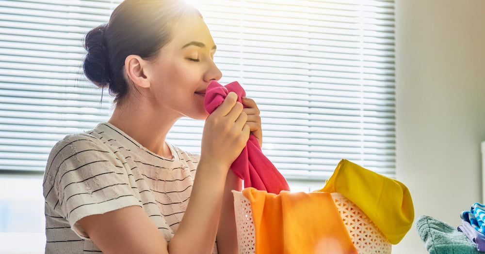 Do Air Purifiers Help With Bad Smells?