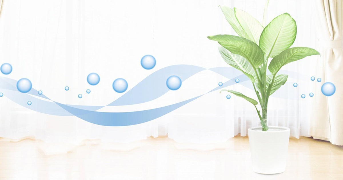 Do I Need an Air Purifier?