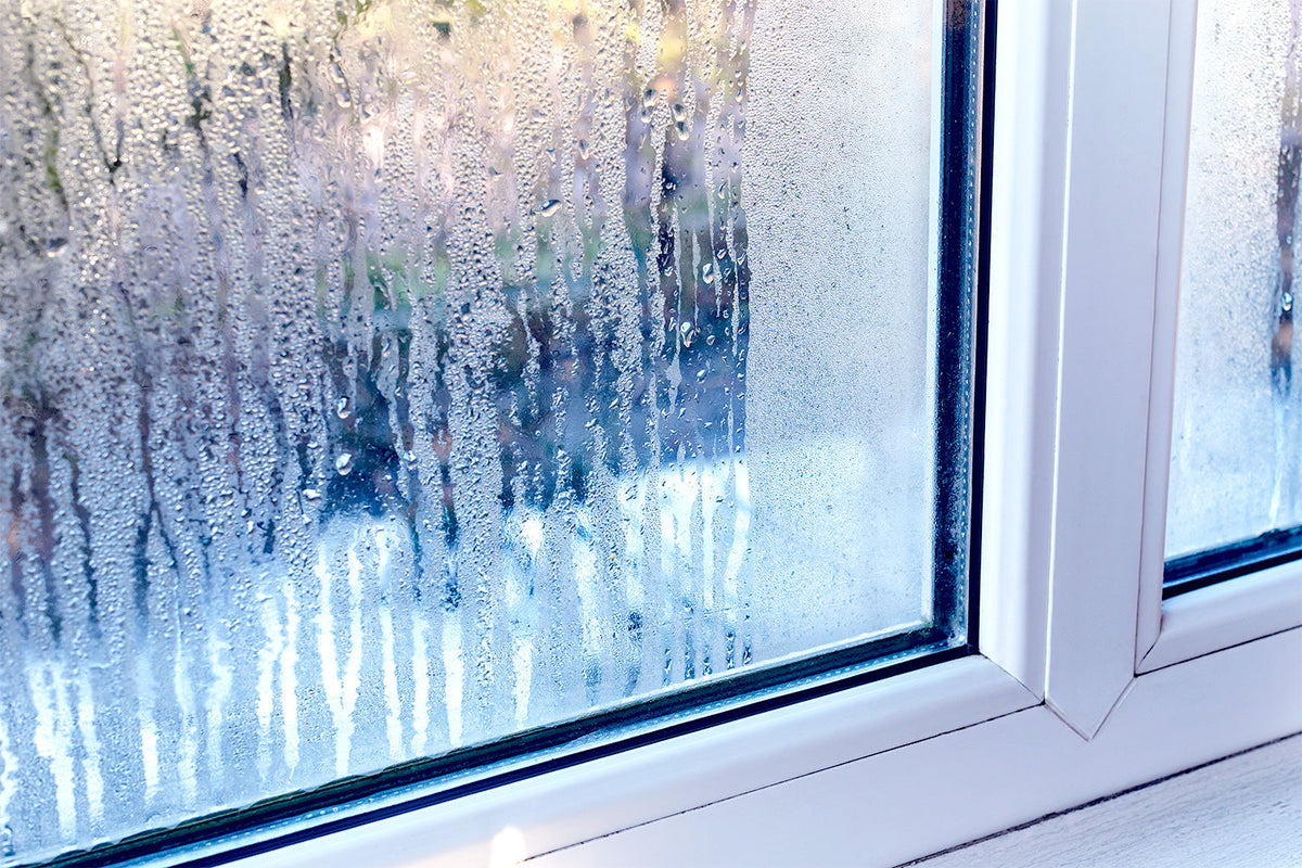 Do Air Purifiers Dry Our Indoor Air?