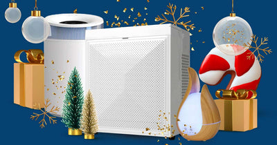 festive image of Air Oasis iAdaptair Small, Cool Mist Humidifier and Oil Diffusers