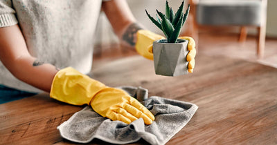 Woman dusting a table wearing cleaning gloves