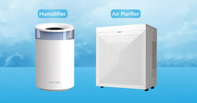 Air Oasis Cool Mist Humidifier and Air Oasis iAdaptAir Air Purifier (Small)