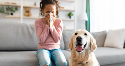 Little girl sneezing with allergies on couch with her pet dog