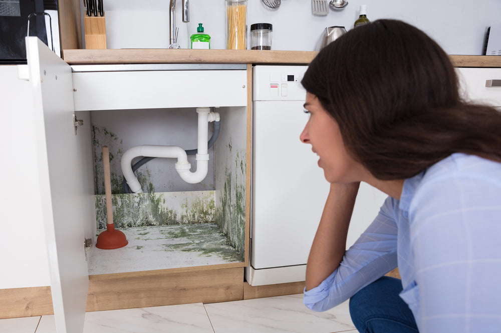 Take a Deep Breath: Successful Management of Mold Allergies with Air Purifiers