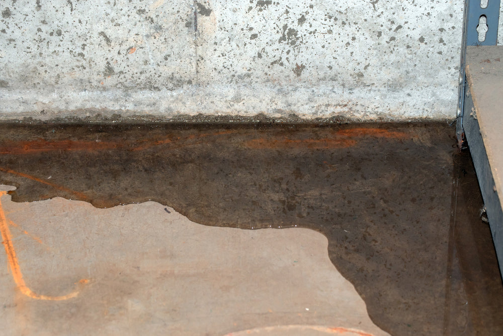The Psychological Benefits of Clean Air: Reducing Mold-Related Anxiety