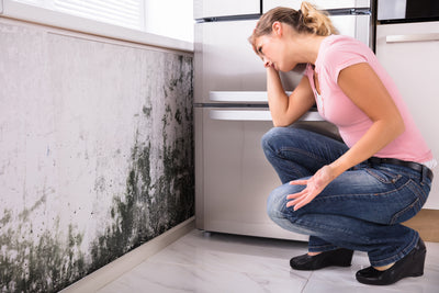 The Connection Between Mold, Depression, and Air Quality