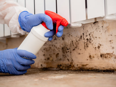 Mold Remediation for Clients with CIRS and Environmental Illnesses