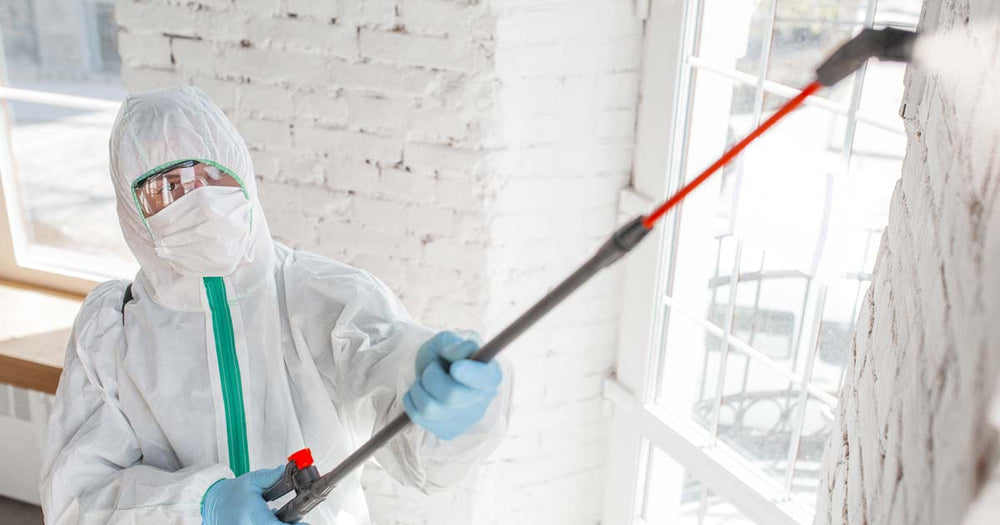 Mold removal technician in protective clothing  applying mold remediation chemicals using a spray wand