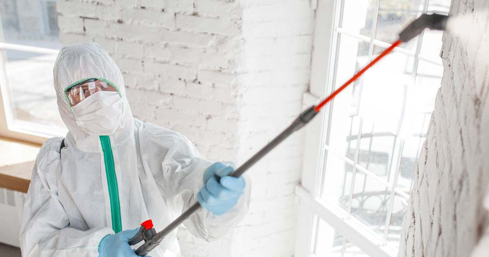 Mold Remediation Toms River Nj