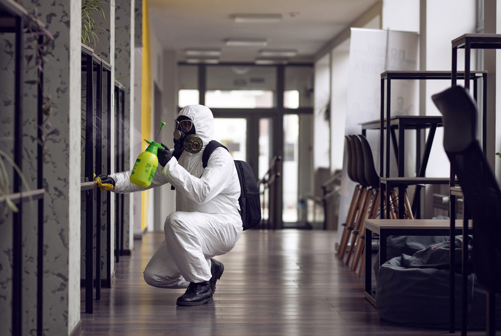 Strategies for Managing Mold in Office Buildings for Employee Health