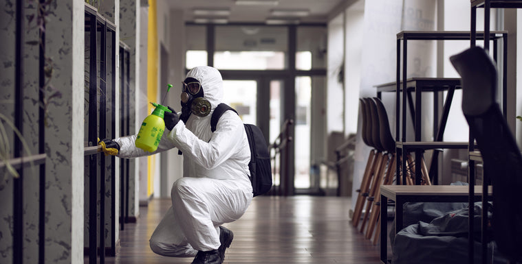 Strategies for Managing Mold in Office Buildings for Employee Health
