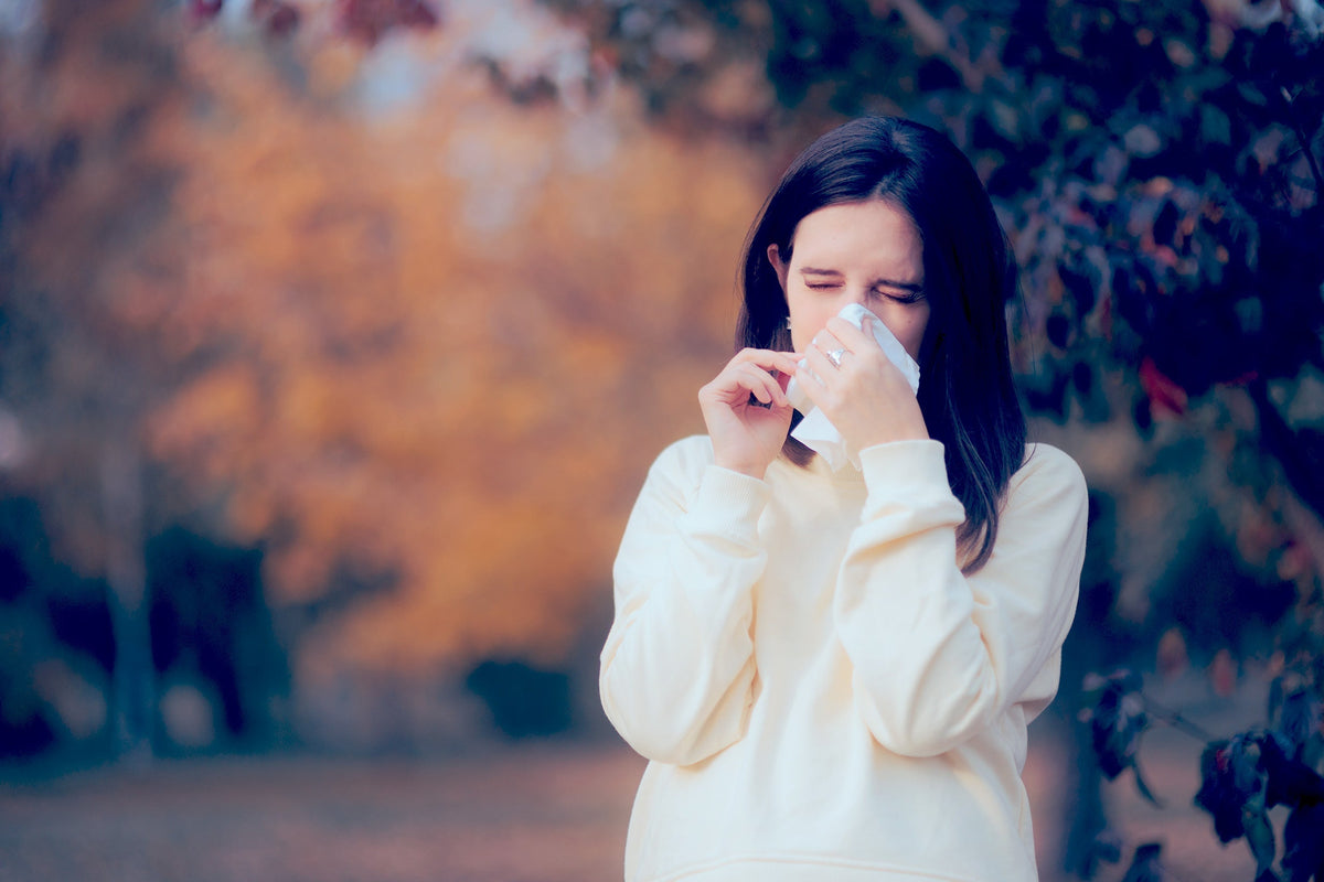 What Causes Fall Allergies? (And How To Stop Them) | Air Oasis